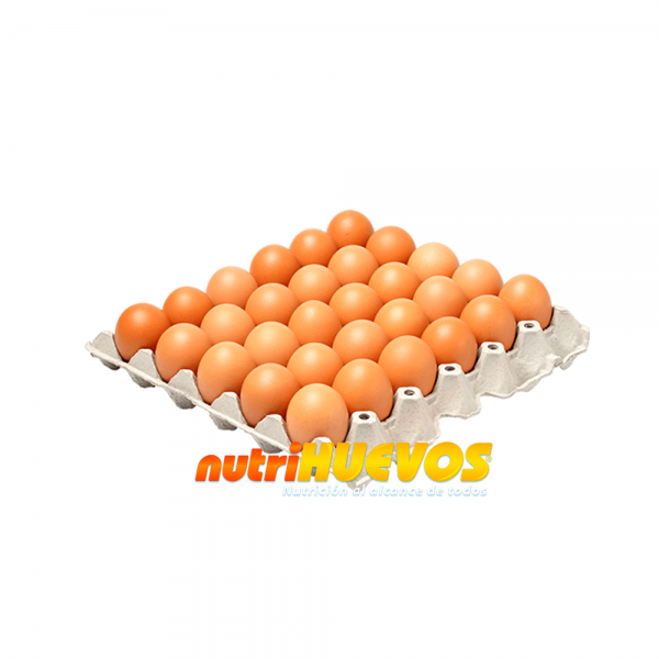 HUEVOS NUTRIHUEVOS 1unid.